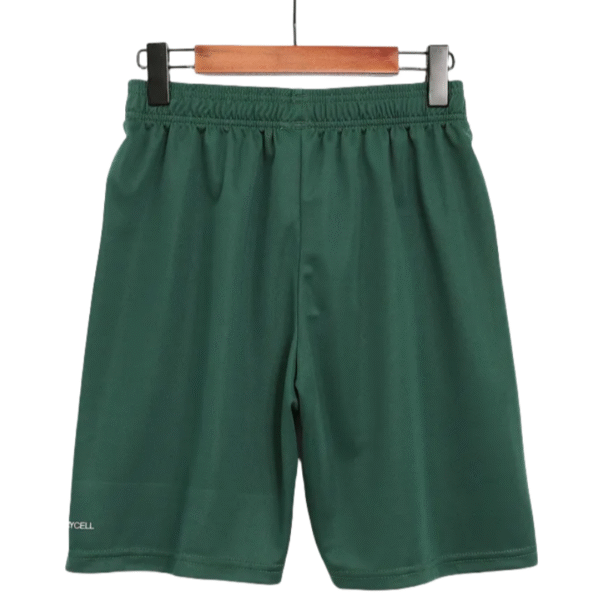 SE Palmeiras 2023/24 Away Shorts Replica - Image 2