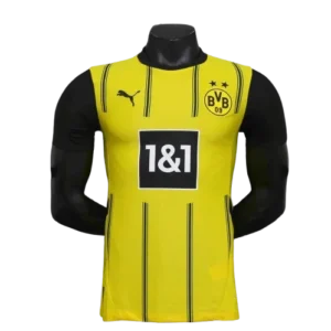 24-25 Borussia Dortmund Home Soccer Jersey Player Version