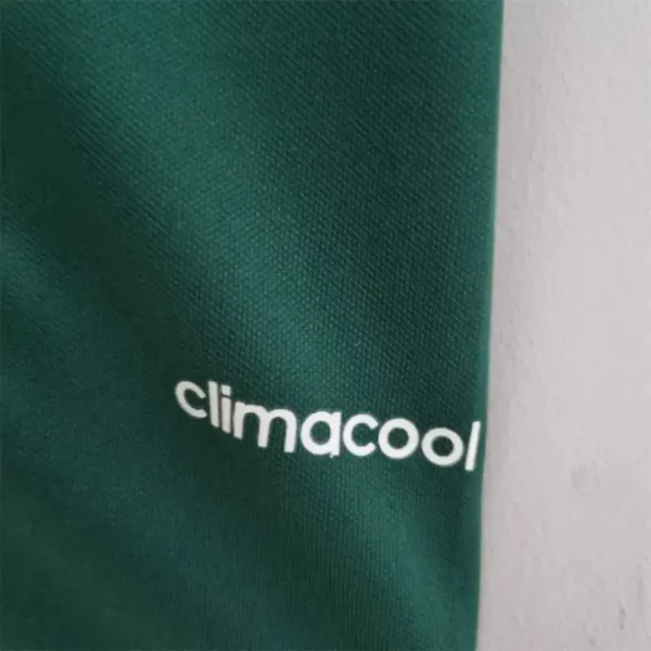 Palmeiras 100th Anniversary 2014/15 Retro Jersey - Image 7